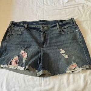 NEW Lane Bryant 22 Girlfriend Short ~ Medium Wash Distressed Denim Cutoff Shorts